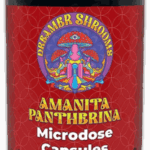 Amanita pantherina capsules in a labelled Mycofinity bottle